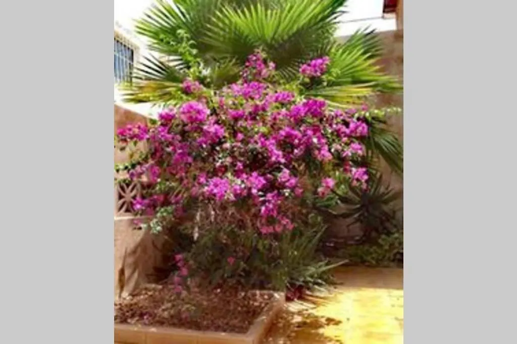 Semi-Detached Villa Sea Views, Huge Terrace, Close Beach Palm-mar 0*,
